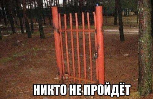 Подборка супер прикольных картинок Подборка супер прикольных картинок