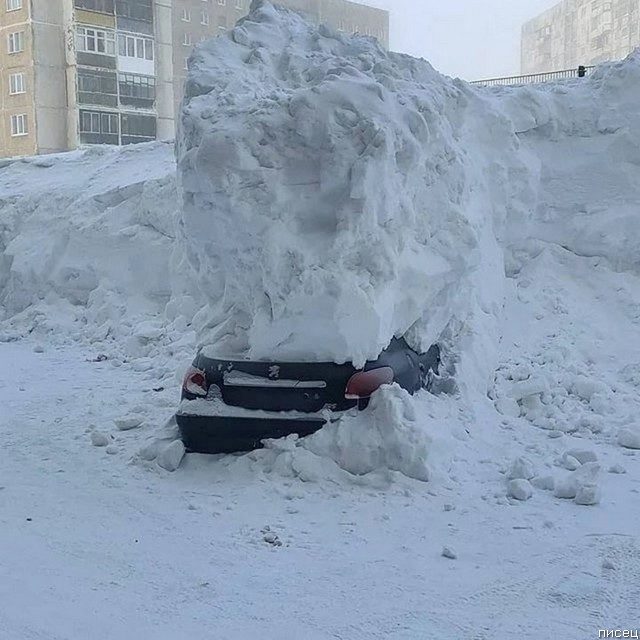 Зимние прикольчики позитив,смешные картинки,юмор