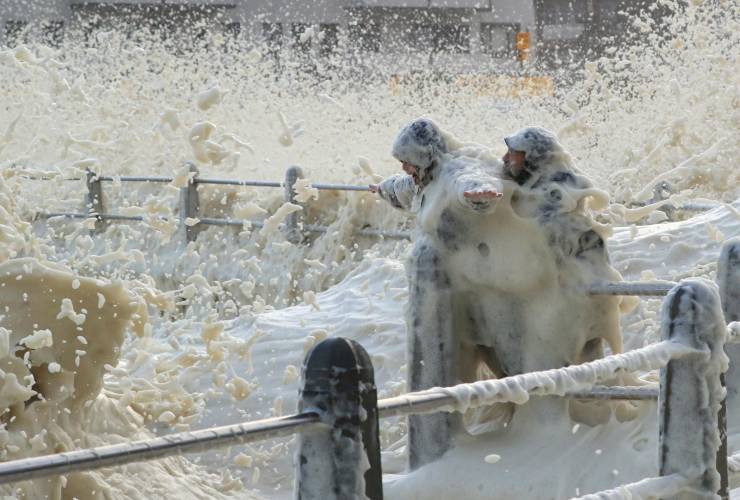 Подборка прикольных картинок  приколы,смешные картинки,юмор