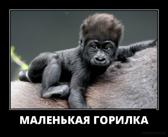 Прикольные и веселые демотиваторы из нашей жизни Прикольные и веселые демотиваторы из нашей жизни демотиваторы свежие,смешные демотиваторы,юмор