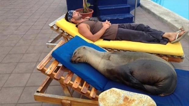 Пляжный отдых, приколы на пляже отдых,пляж,приколы