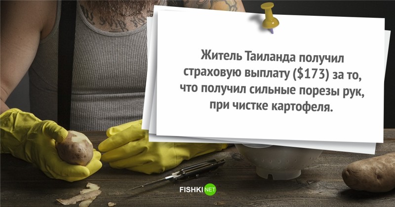 Ты страхуй, иль не страхуй, все равно получишь интересно, курьезы, смешно, страхование