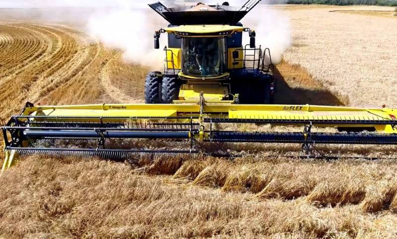 Германия собирается вывезти с Украины десятки миллионов тонн зерна