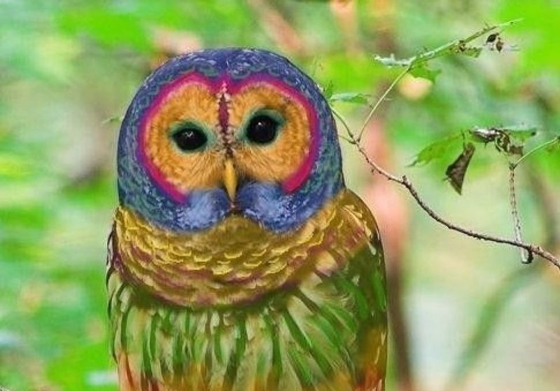 20 фотофальсификаций, которые облетели весь мир fake13 20 фотофальсификаций, которые облетели весь мир