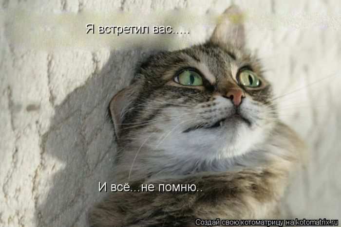 Кошарики :) Кошарики :)