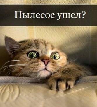 Один джентльмен, бывший боксер, рассказывает даме о своем прошлом