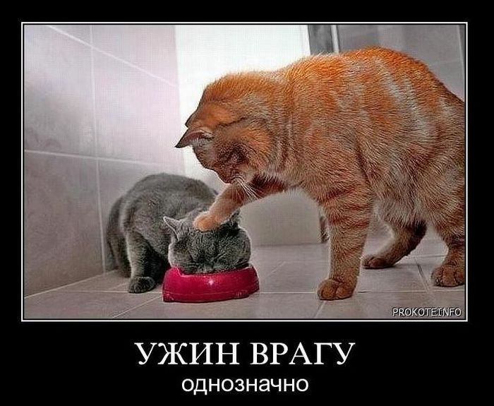 Сначала проглотила все ртом, а потом и киской Сначала проглотила все ртом, а потом и киской