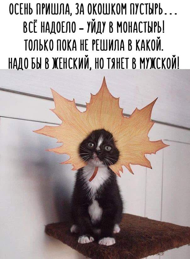 Подборка искрометного юмора с просторов Сети Подборка искрометного юмора с просторов Сети