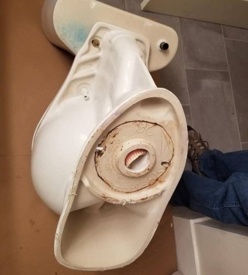 22 прикольные фотографии, на которые придётся взглянуть дважды 22 прикольные фотографии, на которые придётся взглянуть дважды