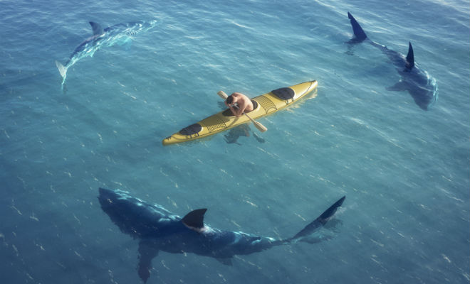 Почему акулы иногда нападают на корабли акула,Видео,нападение акул,океан,Пространство