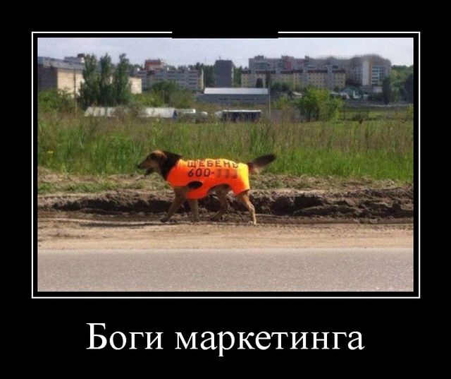 кожа демотиваторы фото бугага подготовили для вас