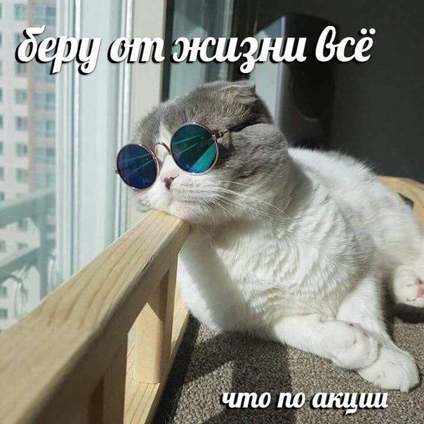 Фотоподборка субботы за всю неделю 