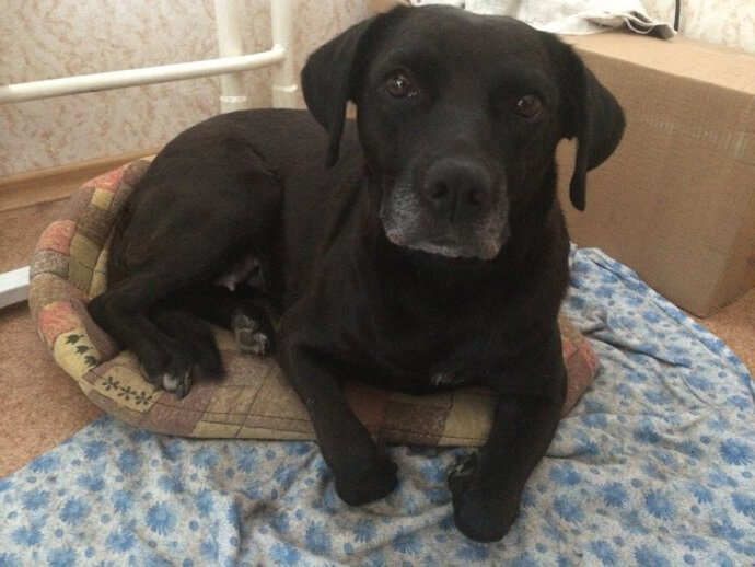 Жуча не умещается)