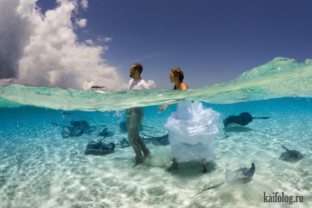   National Geographic 2015 (75 )