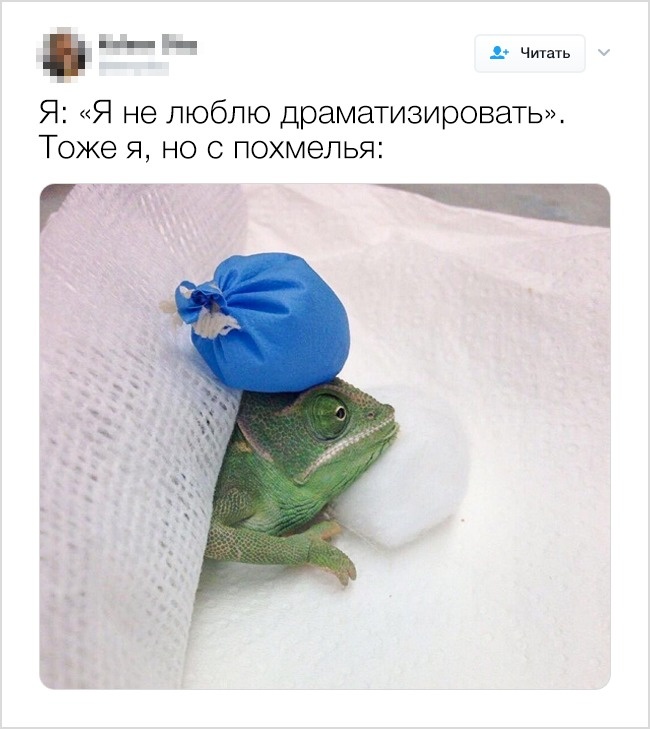 19 твитов о последствиях пятничных вечеринок, которые все равно никого не останавливают