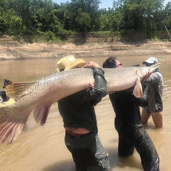 Забавные картинки для отличного настроения! Улыбаемся и смотрим! Забавные картинки для отличного настроения! Улыбаемся и смотрим!