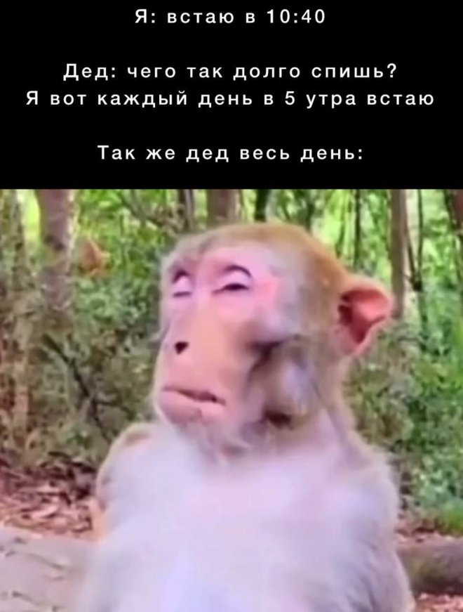 Смешные картинки с надписями и петрушка с кинзой Смешные картинки с надписями и петрушка с кинзой
