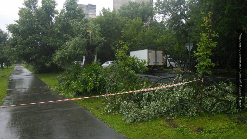 Аварийные службы Москвы на 90 процентов убрали поваленные деревья после урагана