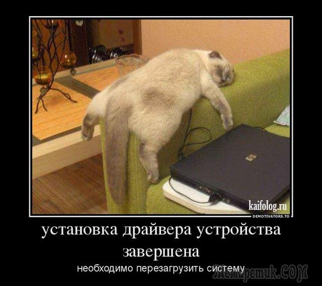 Картинки для хорошего настроения) веселье