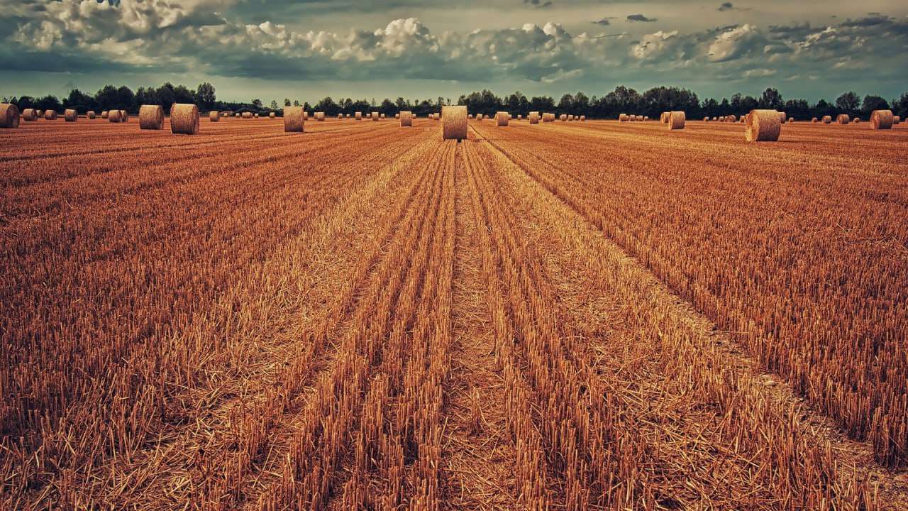 Сатановский: НАТО хочет занять порты на Украине под предлогом вывоза зерна