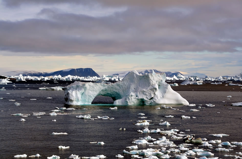 Холодные фотографии Северного полюса сияние, можно, Северный, которая, полюс, которые, считается, сделанные, Арктики, холодом, млекопитающие, льдом, Гренландии, период, Арктике, холод, Северного, упряжках7, Шпицберген, нефти