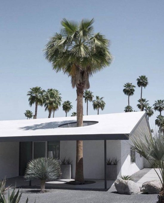 Фотоподборка недели Фотоподборка недели