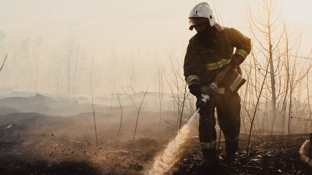 Огнеборцы потушили пожар в заповеднике «Джугджурский» под Хабаровском