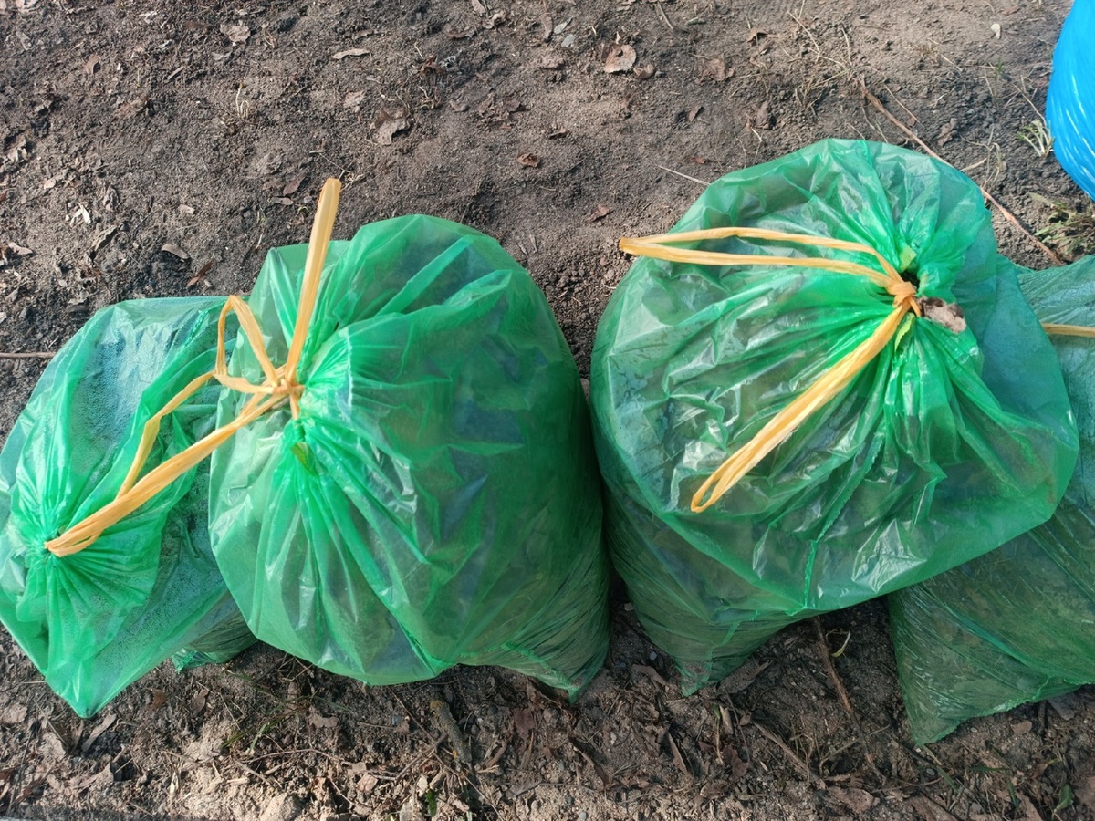 Во Владимире регоператора «Биотехнологии» оштрафовали за плохой вывоз мусора