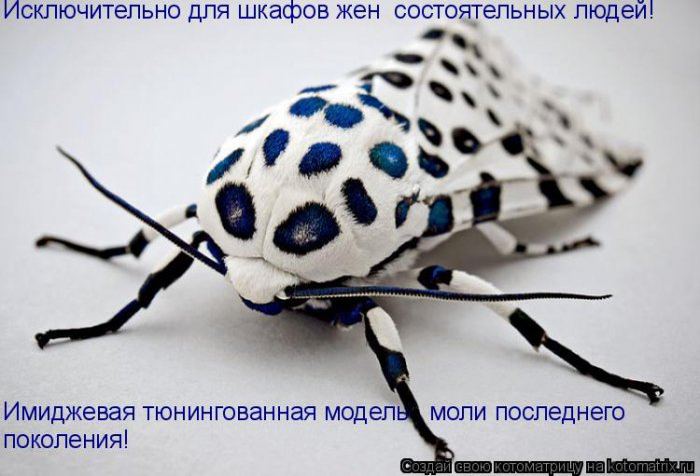 Мысли вслух :)