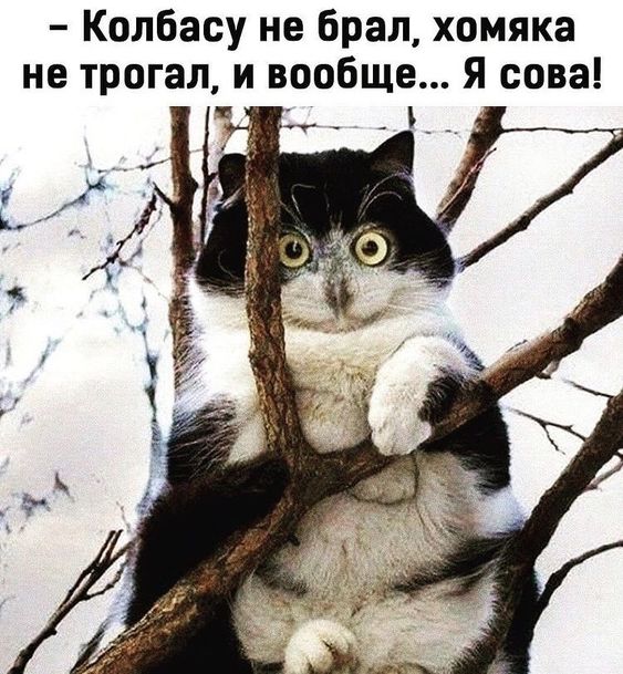 Разбавим скучный вторник множеством анекдотов! Разбавим скучный вторник множеством анекдотов!