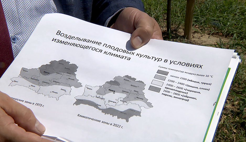 Распилить бревно, развести огонь, испечь драники на колоде - в Горках прошел республиканский финал проекта 