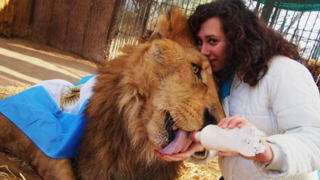 Пост приколов выходного дня. Немного позитива в каждый дом! Пост приколов выходного дня. Немного позитива в каждый дом!