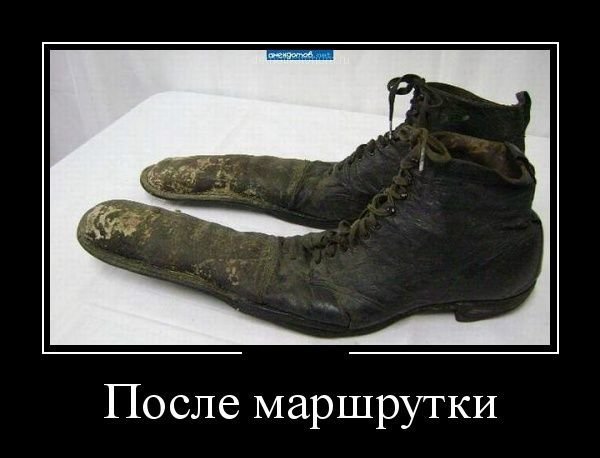 original.jpg#20400067882