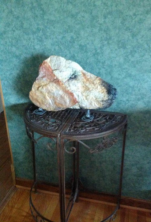 Забавные фотоиллюзии Забавные фотоиллюзии