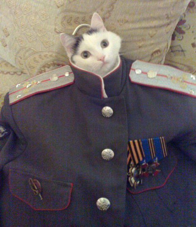 Удивительные снимки с российских просторов люди, прикол, россия