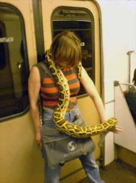 Странные пассажиры в общественном транспорте (17 фото)