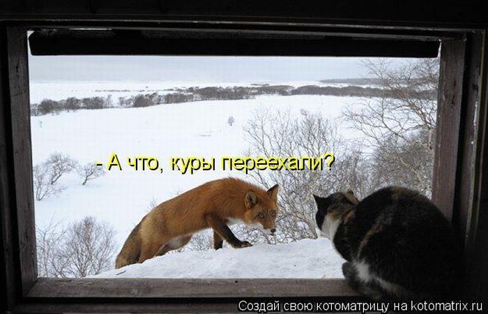 Мысли вслух :)