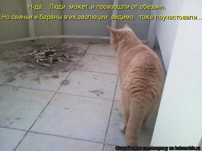 Мысли вслух :)