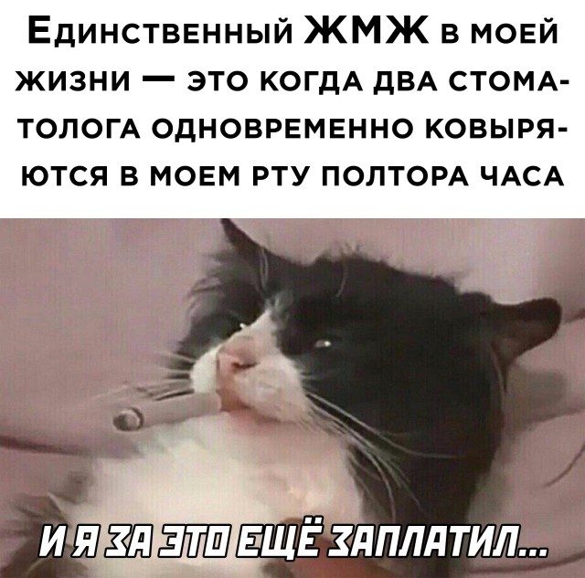 Забавные картинки для отличного настроения! Улыбаемся и смотрим! Забавные картинки для отличного настроения! Улыбаемся и смотрим!