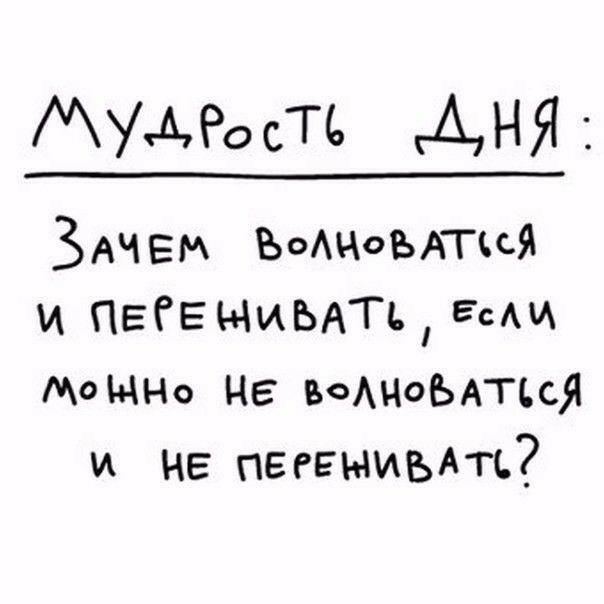 Смешные картинки с надписями для поднятия настроения (11 фото)