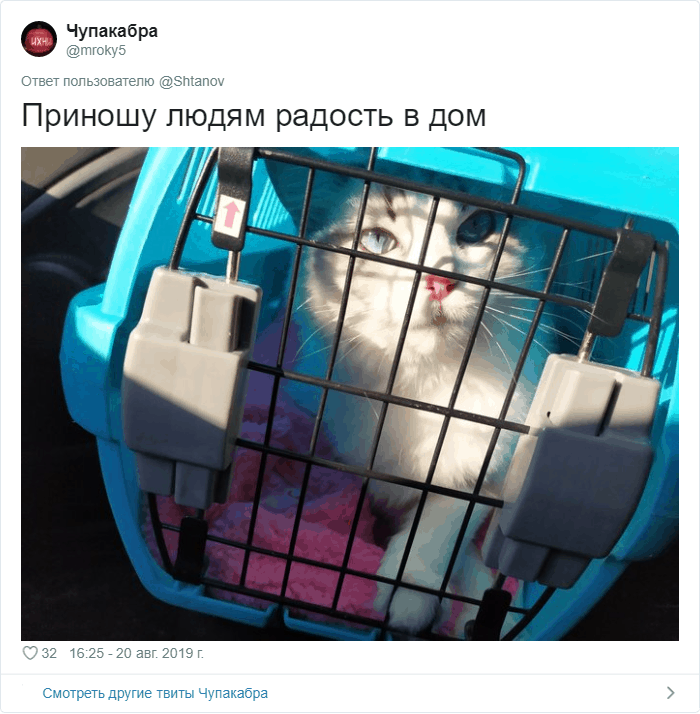 В Твиттере описывают свою работу так, будто говорят о ней 6-летнему ребенку В Твиттере описывают свою работу так, будто говорят о ней 6-летнему ребенку интеонет,приколы,твиттер,юмор и курьезы