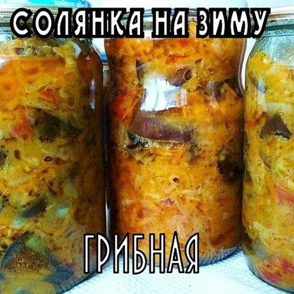 Солянка грибная зимовье