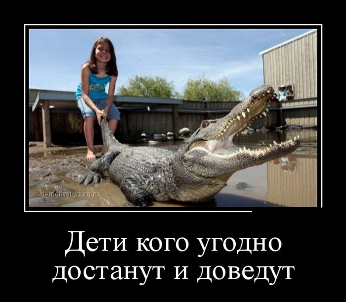 Классные и жизненные демотиваторы со смыслом зачетные демотиваторы для веселья