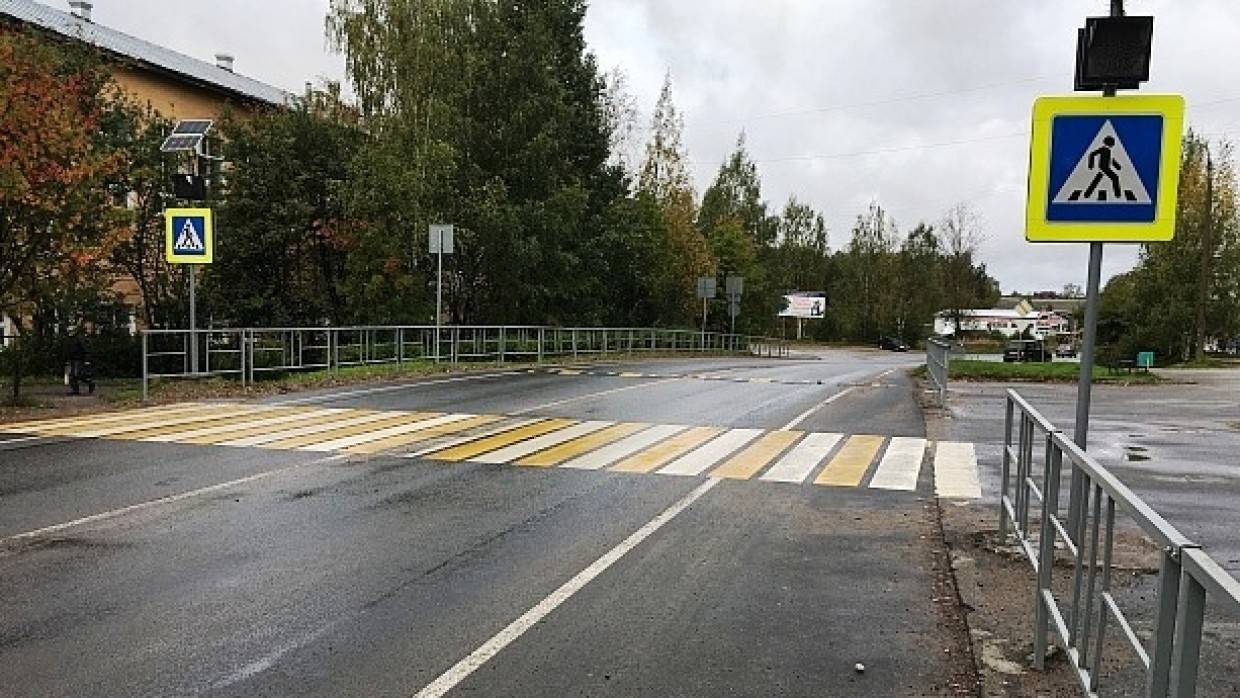 Женщину с двумя детьми сбили на пешеходном переходе в Подмосковье