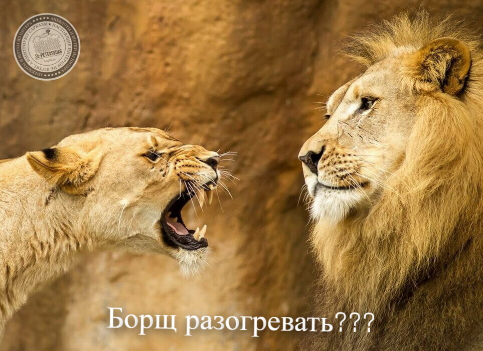 Борщ