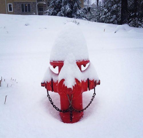 Забавные фотоиллюзии Забавные фотоиллюзии