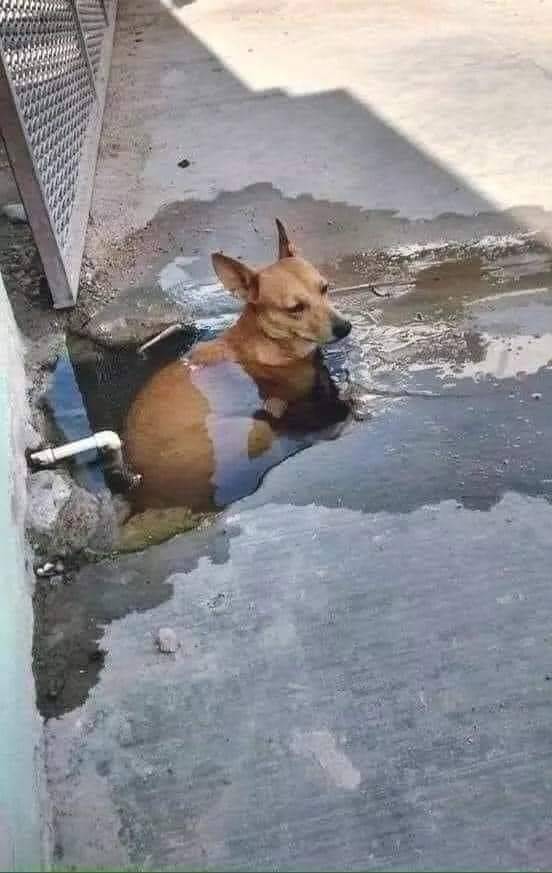 Подборка смешных картинок Подборка смешных картинок приколы,смешные картинки,юмор