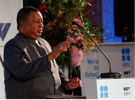 OPEC Secretary General Mohammad Barkindo delivers his speech during the presentation of the World Oil Outlook in Vienna, Austria November 5, 2019. REUTERS/Leonhard Foeger/File Photo