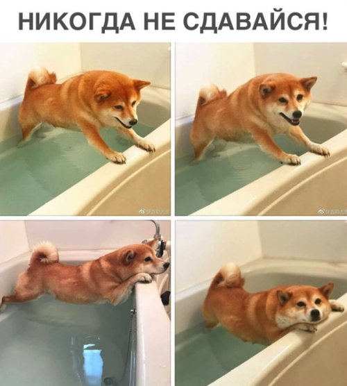 Свежие фотомемы Свежие фотомемы mir-interes.info