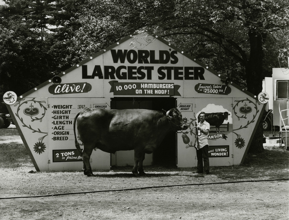 Американская история ужасов: реальные бродячие цирки в документальном фотопроекте Рэндала Левенсона 1971-81гг 